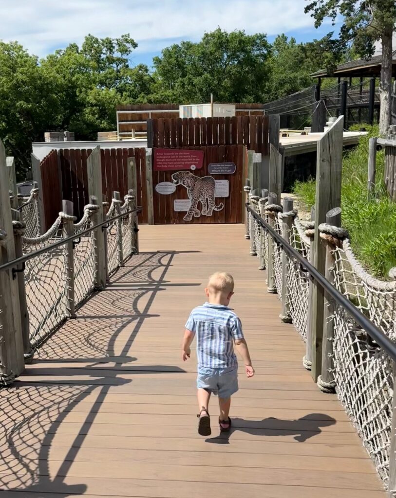 toddler walking at a zoo during an outing